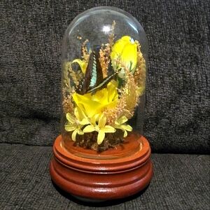 Vintage Real Butterfly Floral Diorama Glass Dome